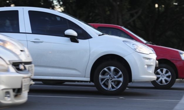 Dono de veículo apreendido por crime ambiental não tem o direito automático de ficar como depositário