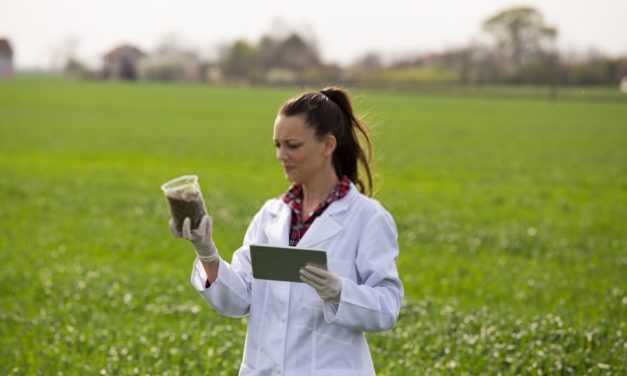 PIS e Cofins incidem sobre royalties de tecnologia desenvolvida por cooperativa agrícola de pesquisa