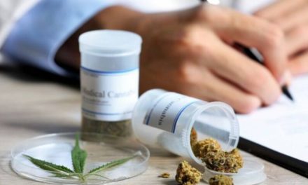 STJ concede liminares para permitir cultivo de Cannabis com fim medicinal sem risco de repressão